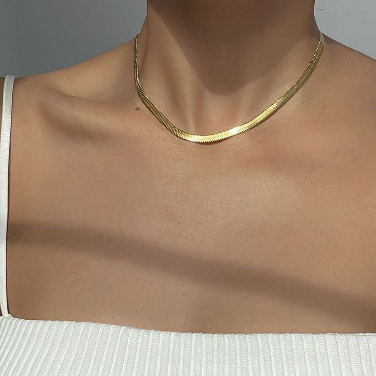 Snake Stainless Steel Chain (Unisex)